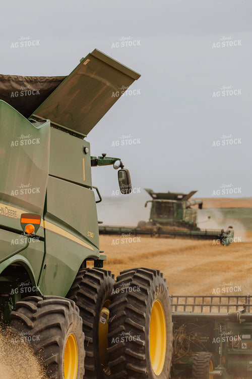Wheat Harvest 187190
