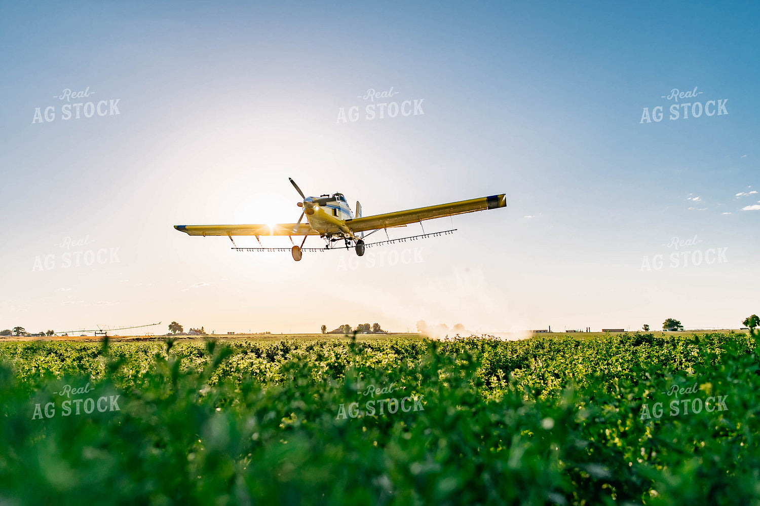 Crop Duster 218019
