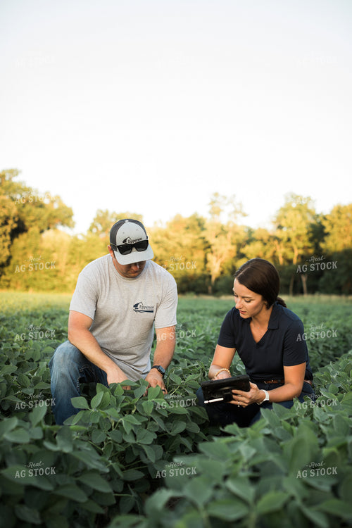 Agronomist and Farmer Scouting Soybean Field 6105