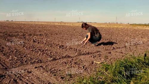 Checking Seed Depth 2950