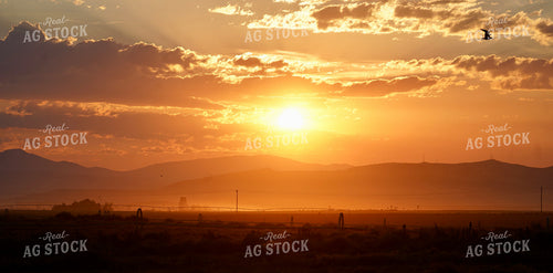 Sunset Over Rural Landscape 293042