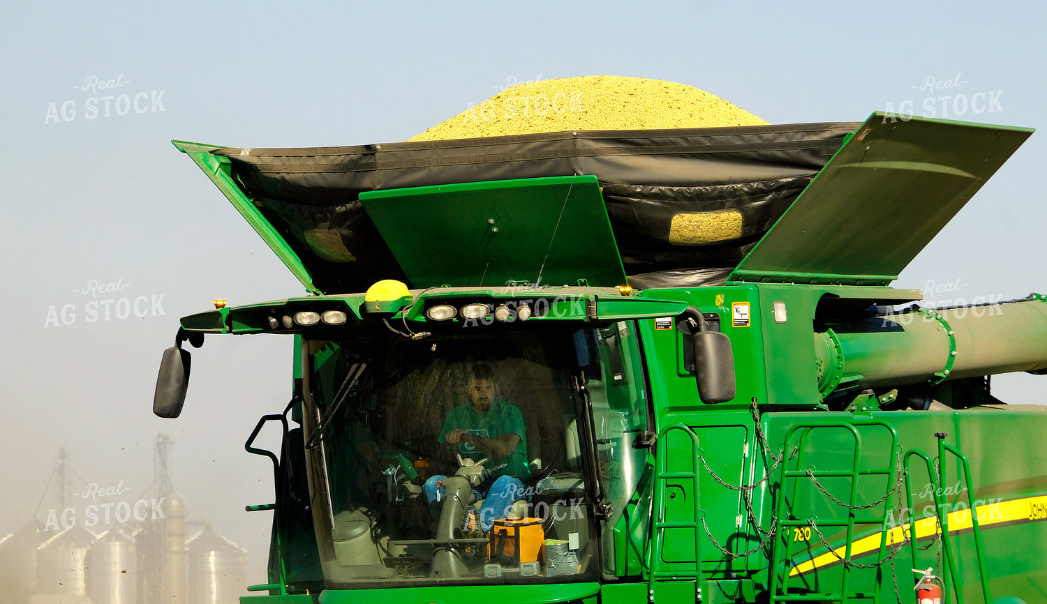 Soybean Harvest 154005