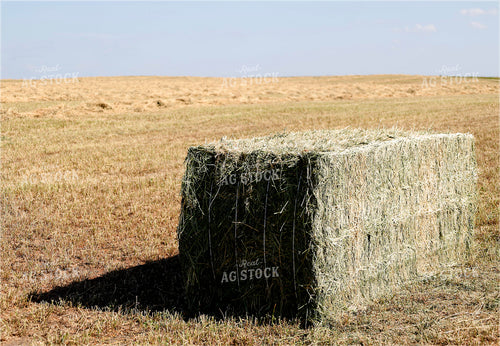 Square Bales 141638