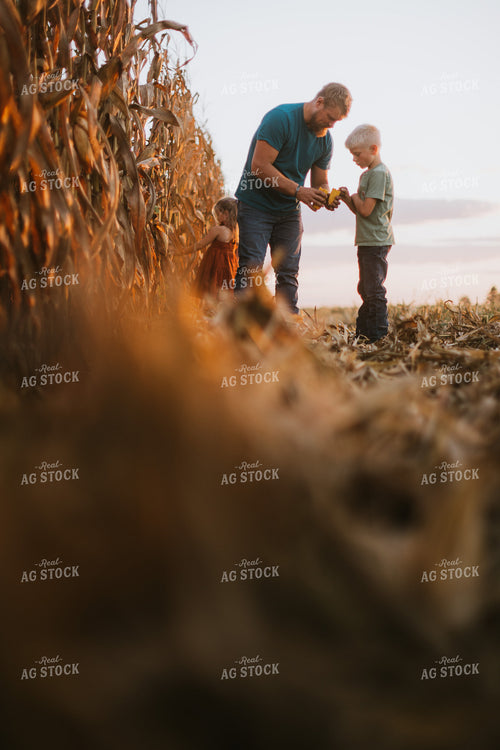 Farmer Checking Corn with Kids 9398