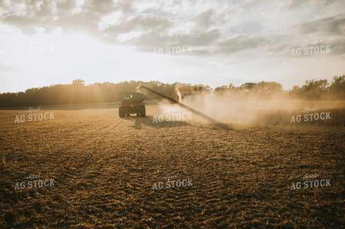 Combine Unloading into Grain Cart 4843