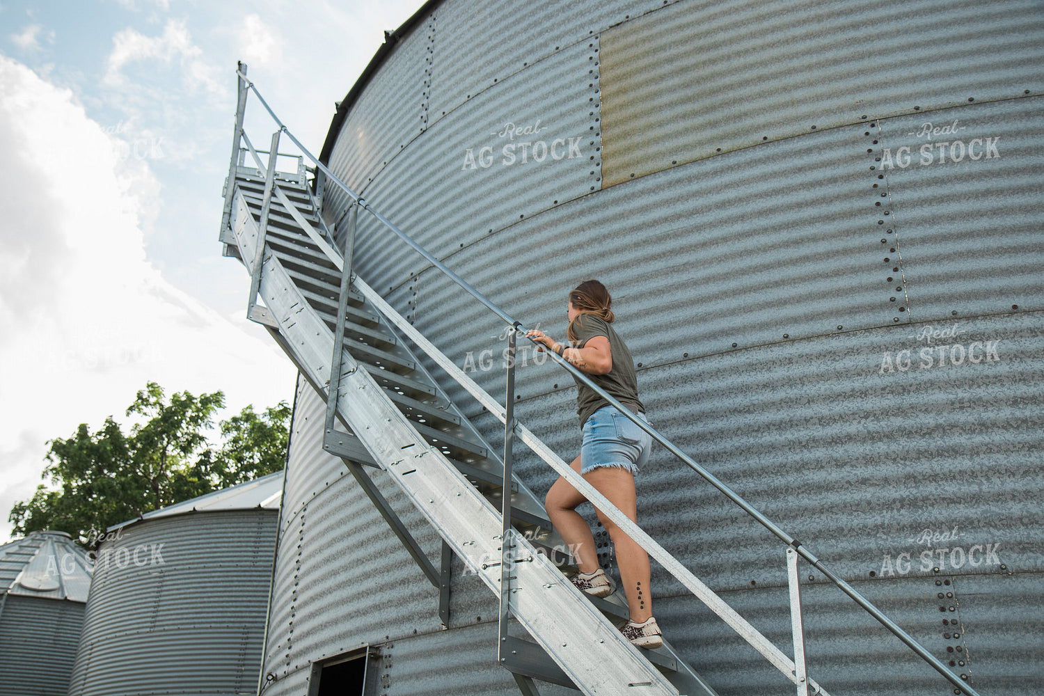 Farmer Climbing Grain Bin Steps 67451