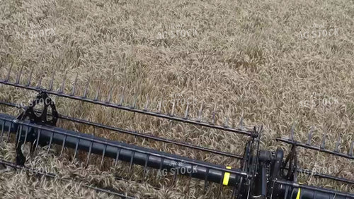 View from the Combine Cab of Wheat Harvest 227003