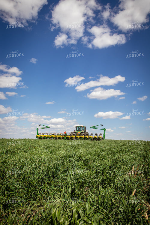 Planting into Cover Crops 67679