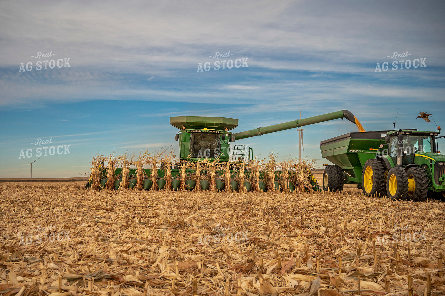 Harvesting 211015
