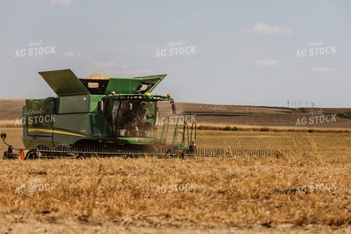 Canola Harvest 187239
