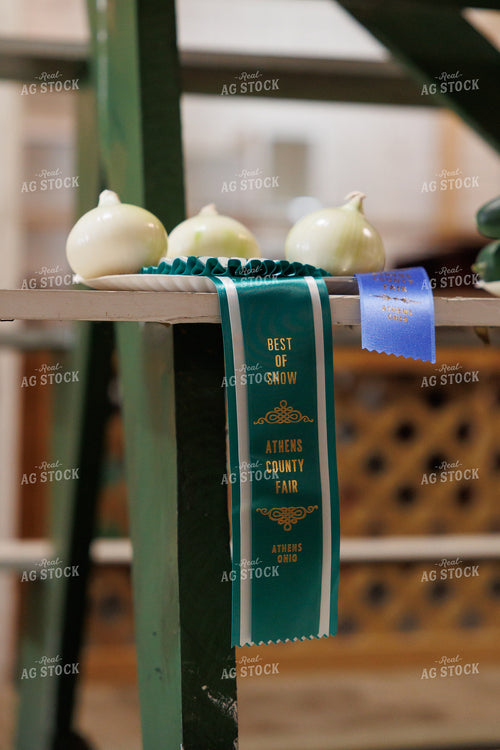 County Fair Vegetable Exhibits 295184