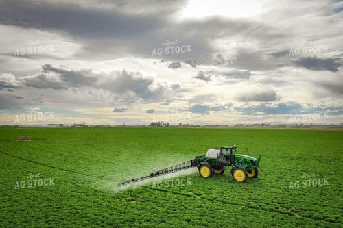 Spraying Alfalfa Hay 56018