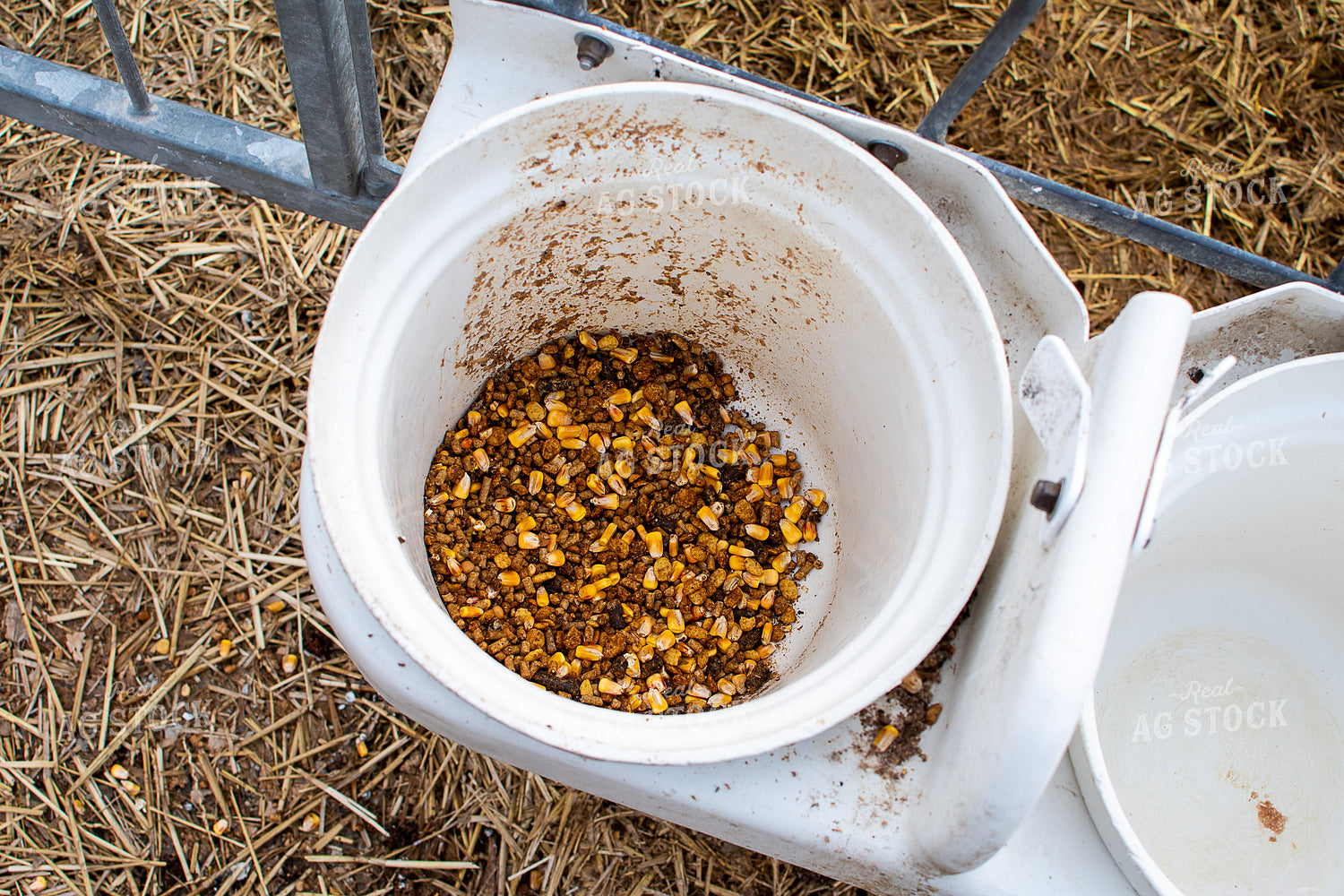 Cattle Dry Food Ration 50360