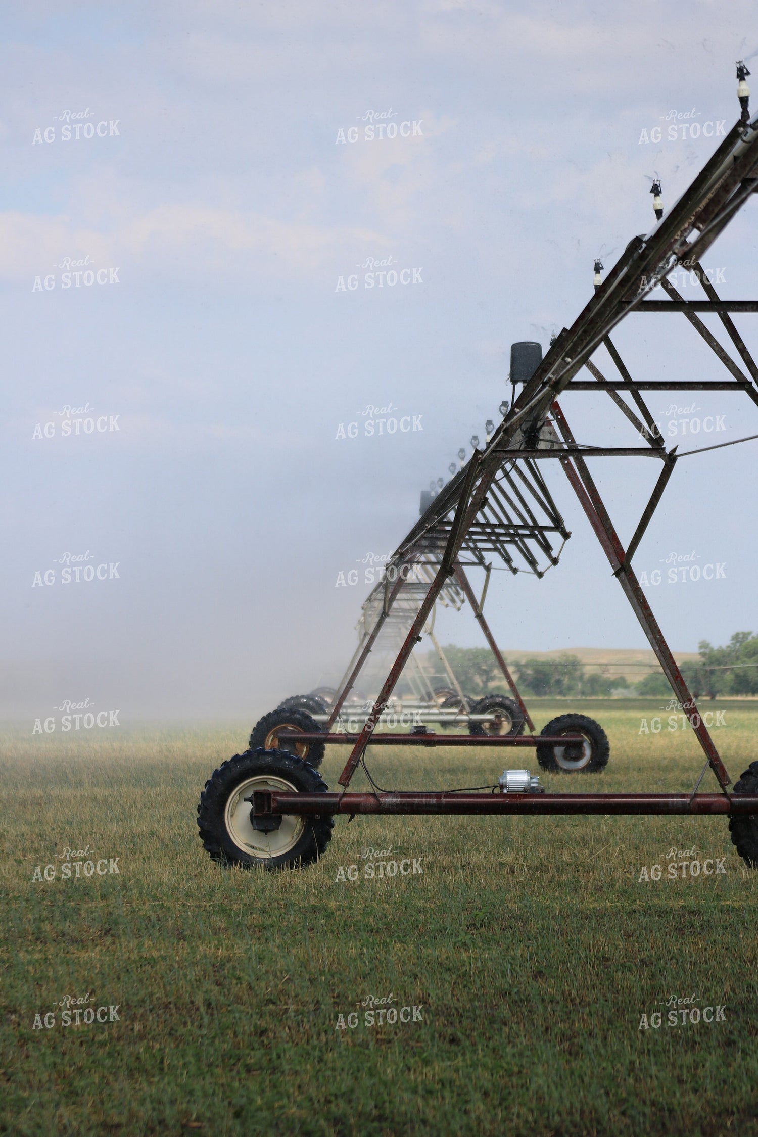 Irrigation System in Field 82081