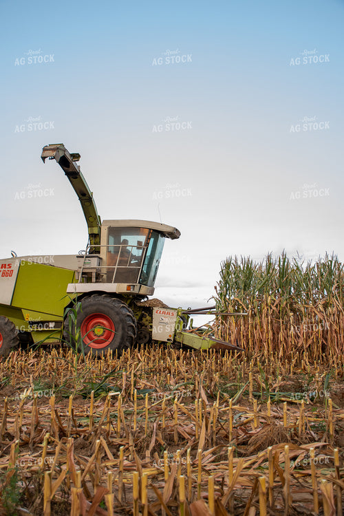 Silage Harvest 50250