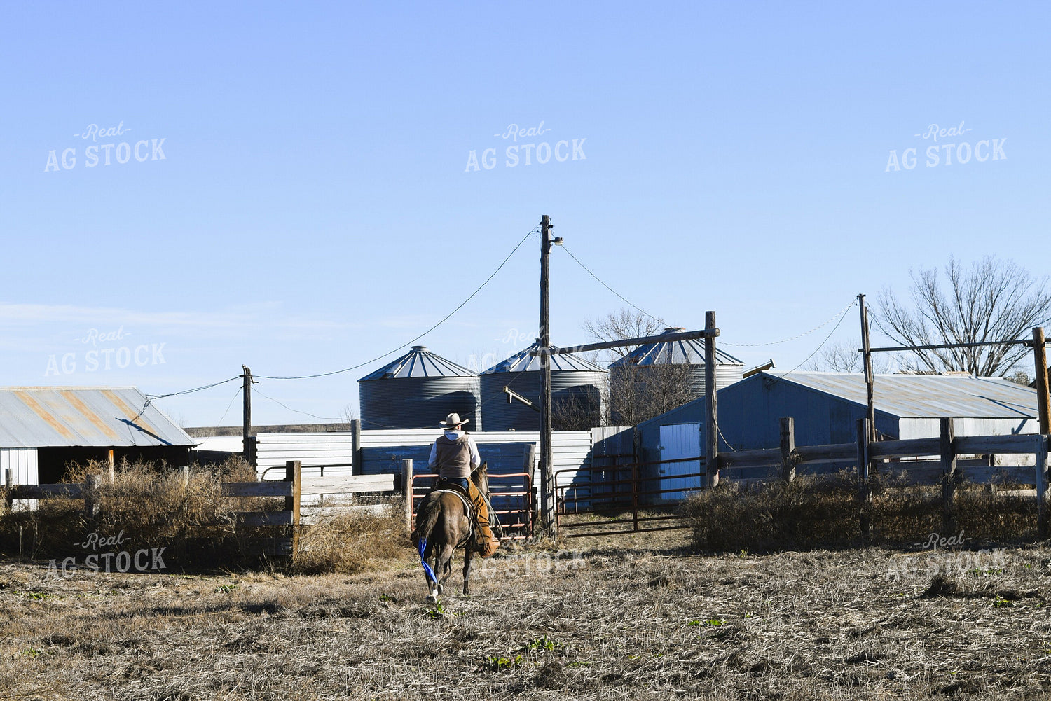 Cowboy Riding Horse 284015
