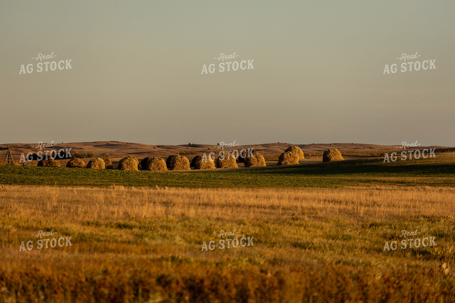 Hay Stacks at Sunset 71003