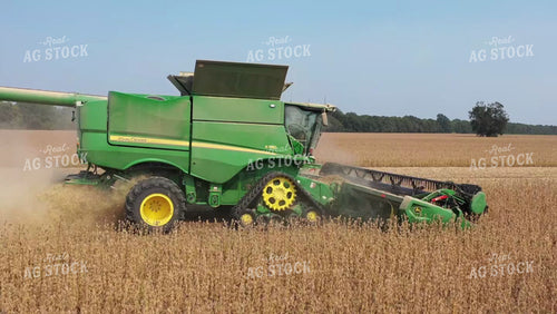 Soybean Harvest 79486