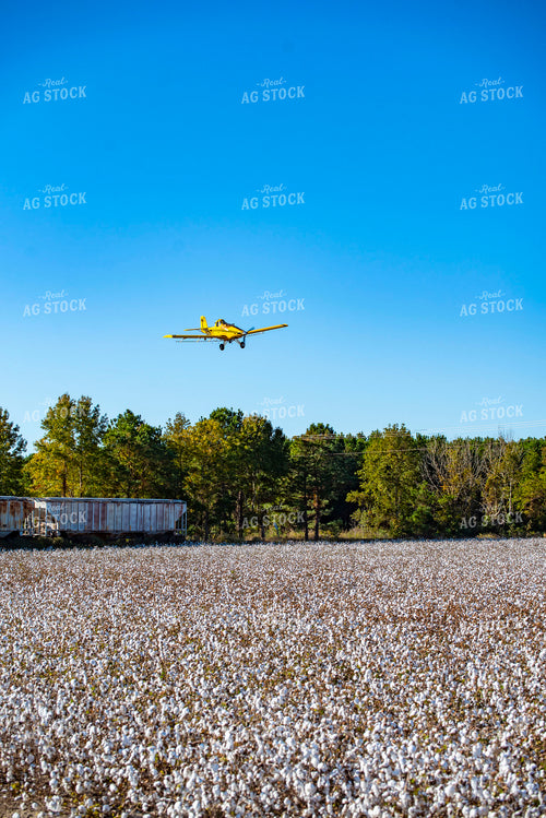 Crop Duster Spraying Cotton Field 136263