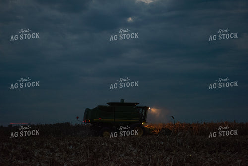Corn Harvest 129069