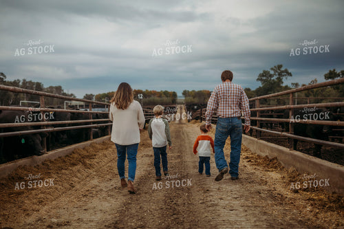 Ranch Family Checking Cattle 285026