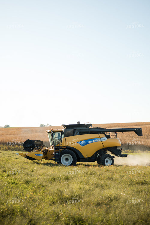Soybean Harvest 215092