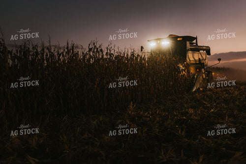 Corn Harvest 9414