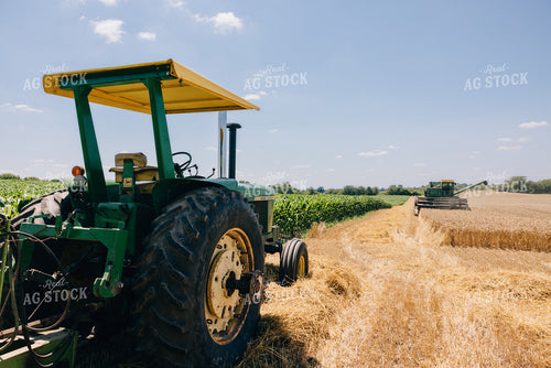 Wheat Harvest 178025