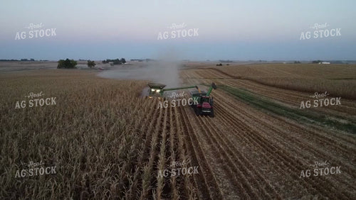 Corn Harvest 215065