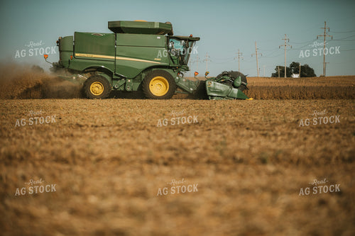 Combine Cutting Soybeans 4779
