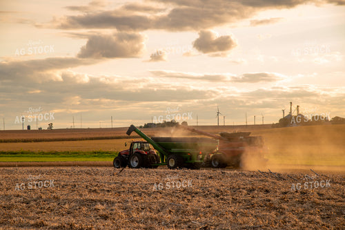 Combine Unloading Soybeans into Auger Wagon on the Go 25688