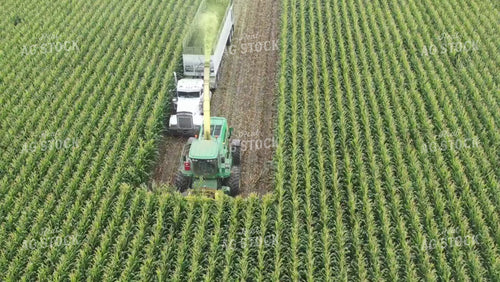 Chopping Corn Silage Drone 56319