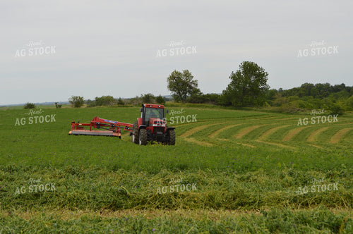 Mowing Hay 206035