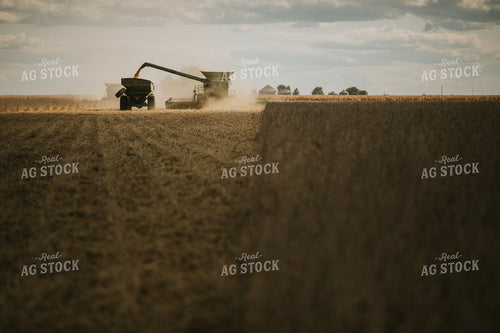 Soybean Harvest 6857