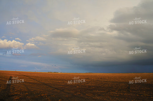 Rural Landscape 156000