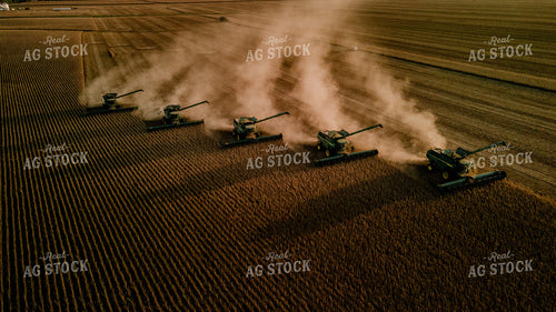 Soybean Harvest 9309