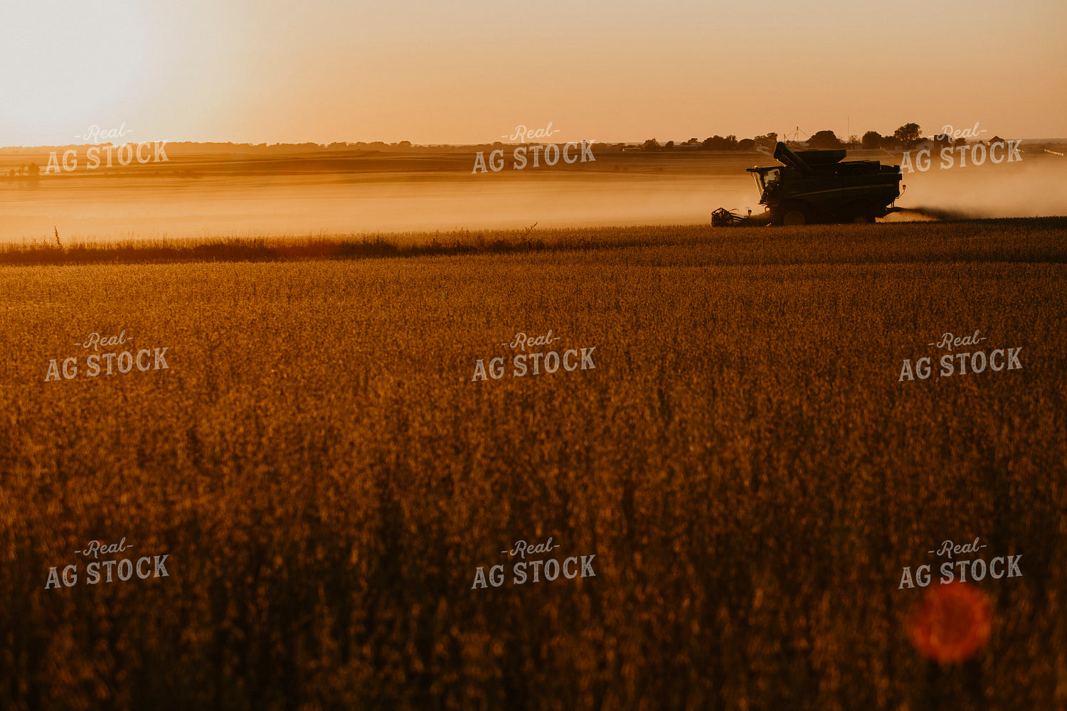 Harvest 2593