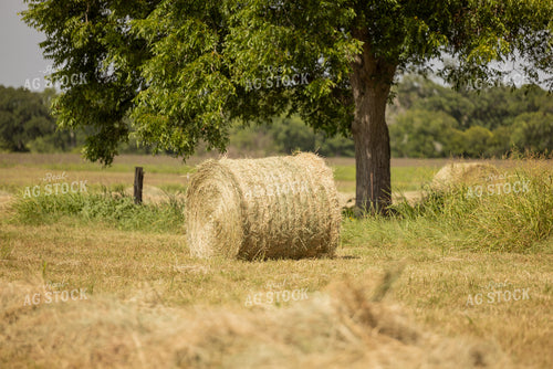 Hay Bale 143015