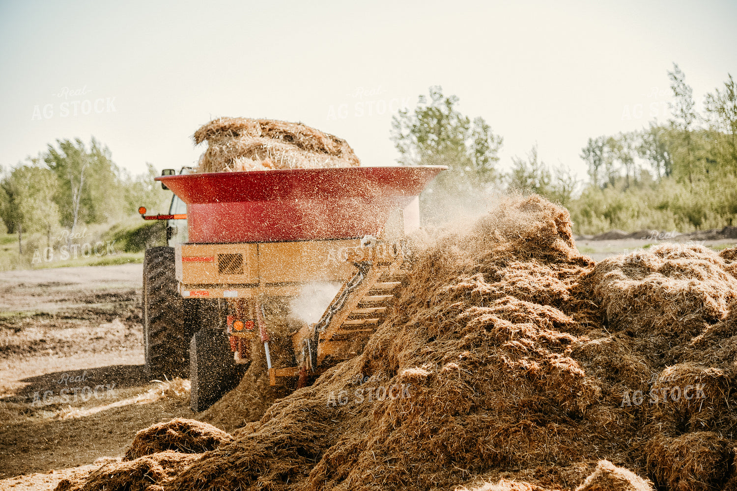 Loading Hay into Wagon 64277