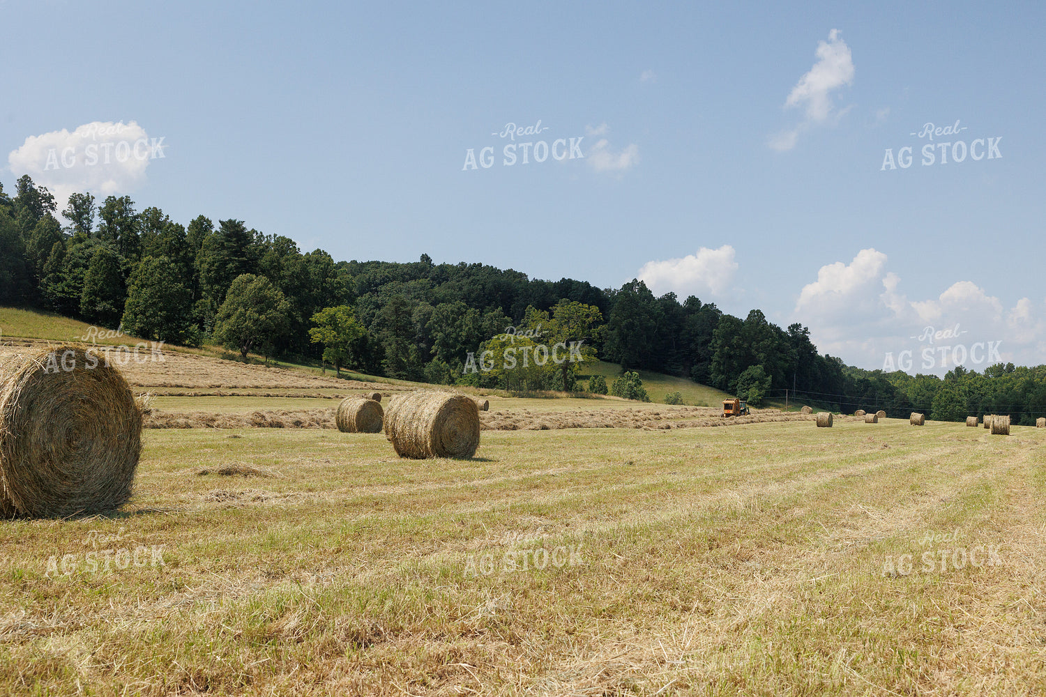 Baling Hay 295009