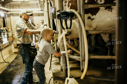 Dairy 2739