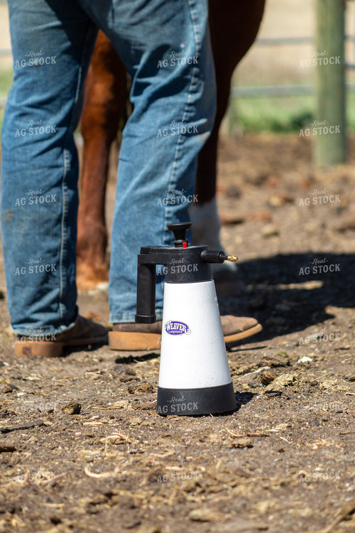 Spray Bottle for Horse Grooming 155594