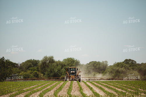 Spraying V3 V4 Corn Field 5790