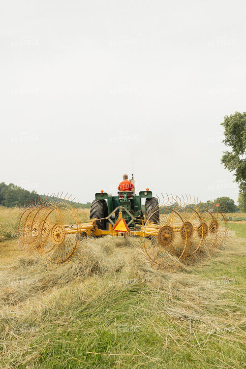 Raking Hay 295055