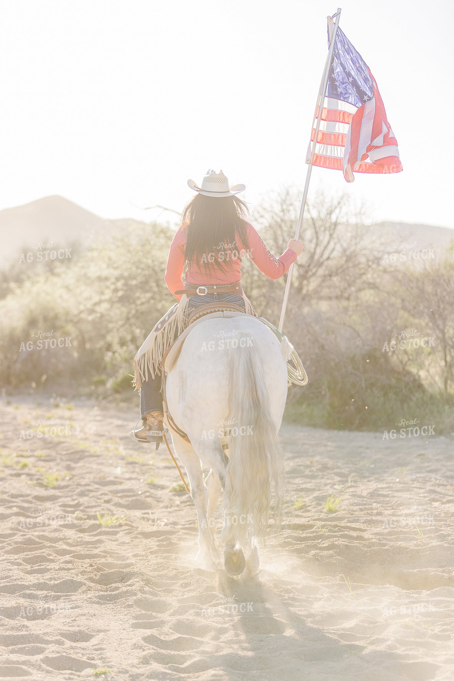 Rancher with American Flag 184050