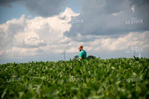 Farmer Scouting Growing Crops 25295