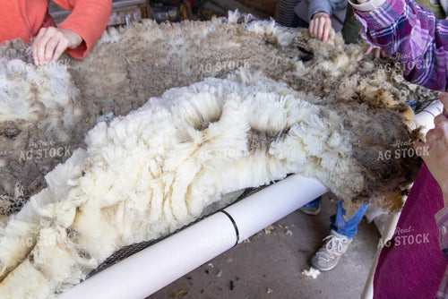 Pile of Wool 124011