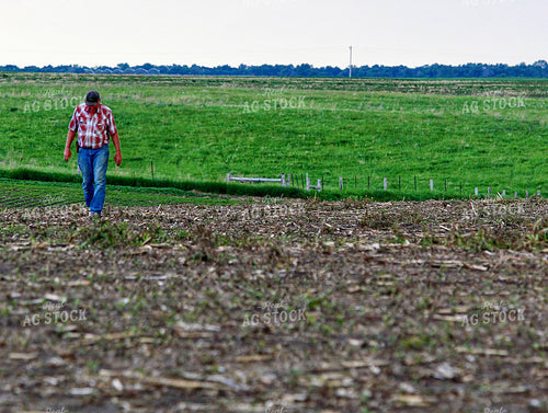 Farmer Checking Crops 141560