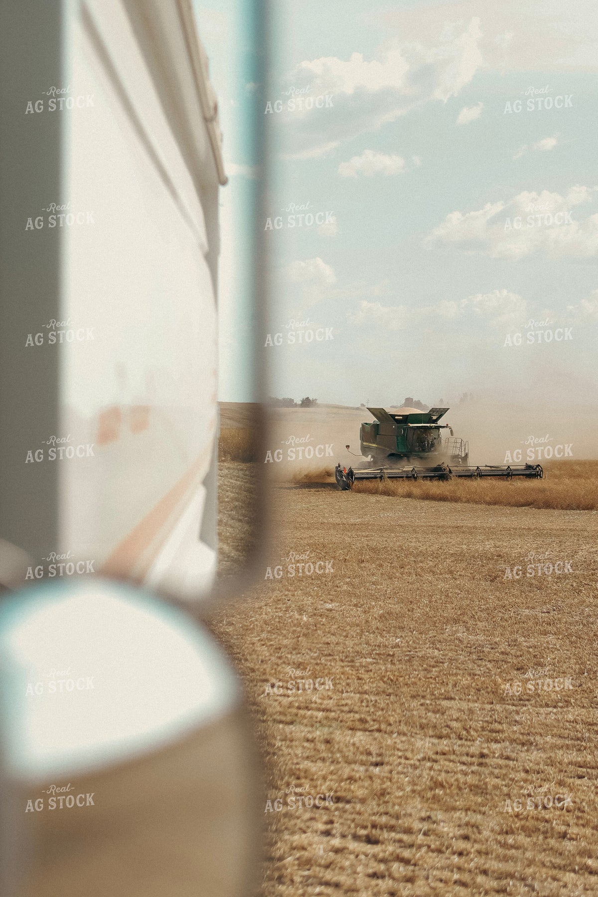 Harvest 187388