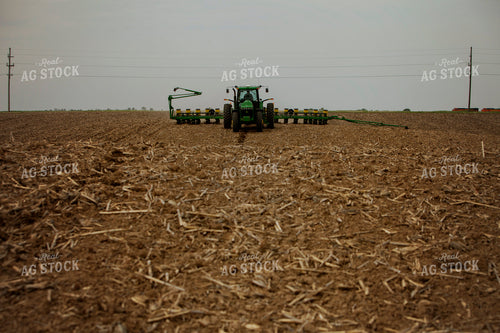 Planting 1979